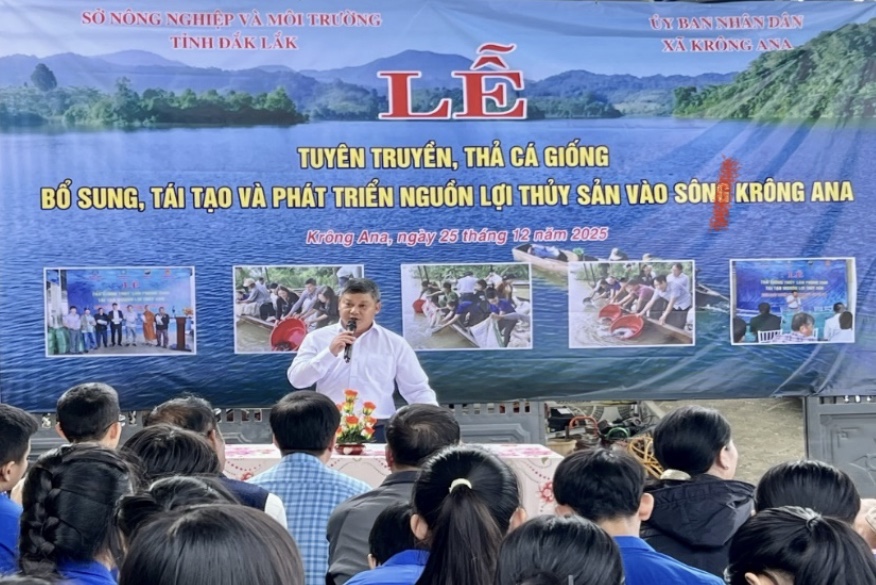 Thả hơn 52.000 con giống tái tạo nguồn lợi thủy sản tại cầu Buôn Trấp, xã Krông Ana năm 2025